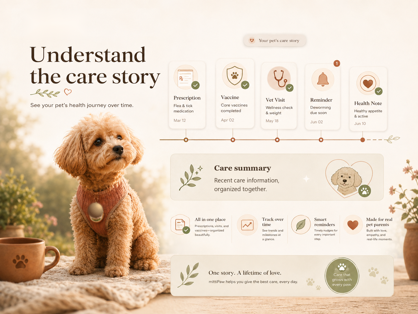 A timeline connecting a pet's vet visits, medicines and vaccinations over time